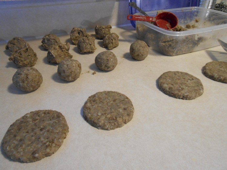 COCONUT LENTIL ANIMAL-FREE BURGER SCOOPS BALLS PATTIES RAW